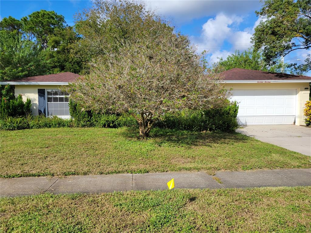 a view of a yard in front of a house