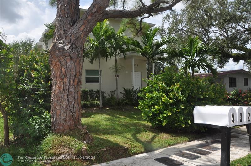 a view of a backyard with plants and a tree