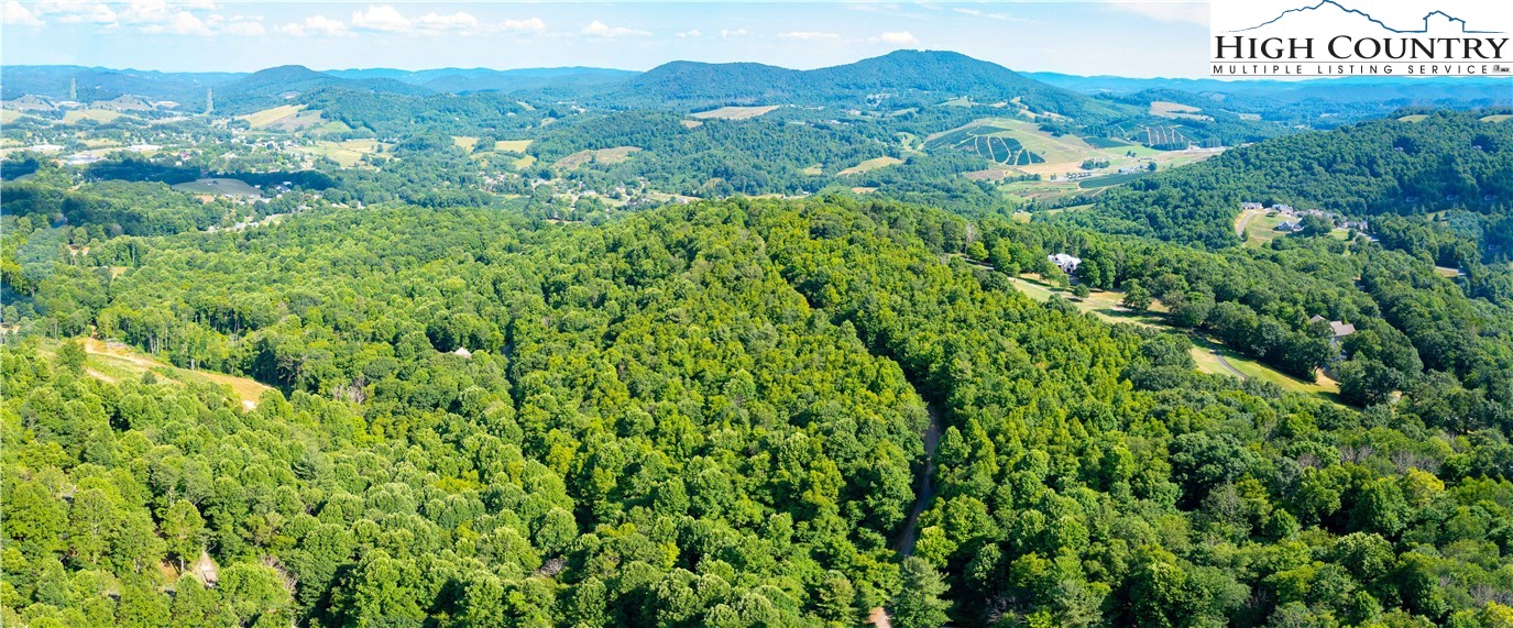 a view of a lush green field with lots of bushes