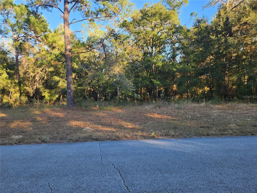 a view of a yard with a tree