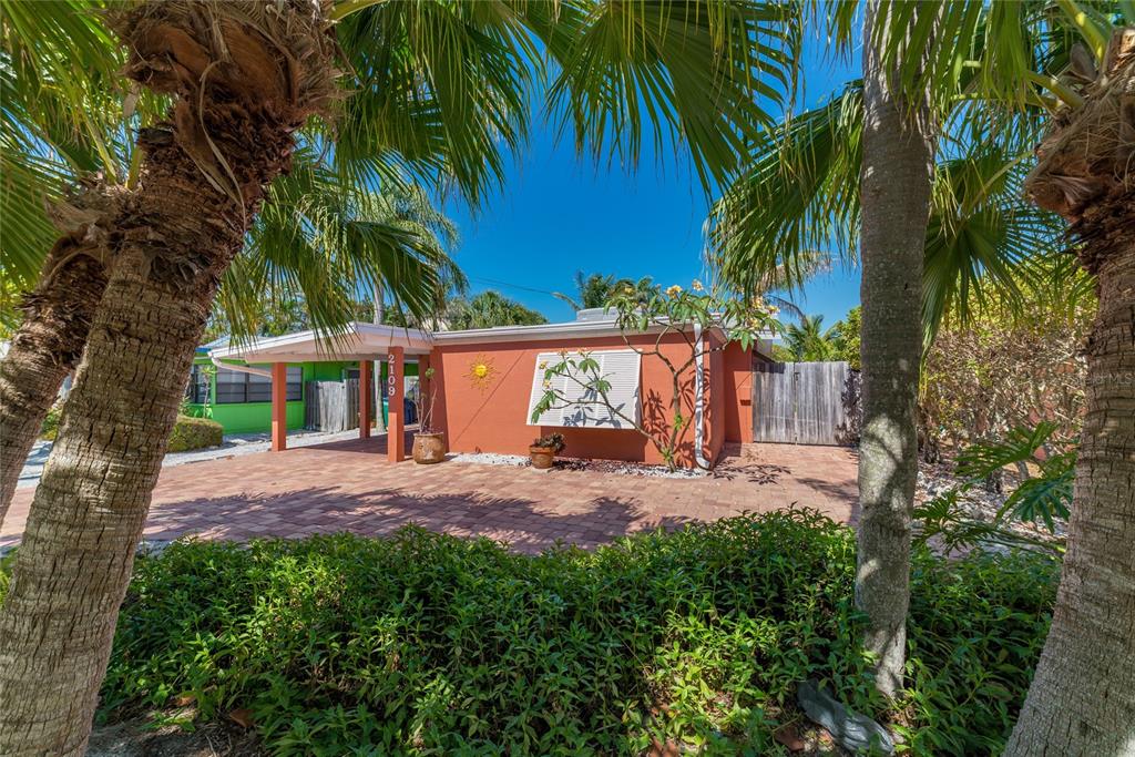 a view of a yard with palm trees