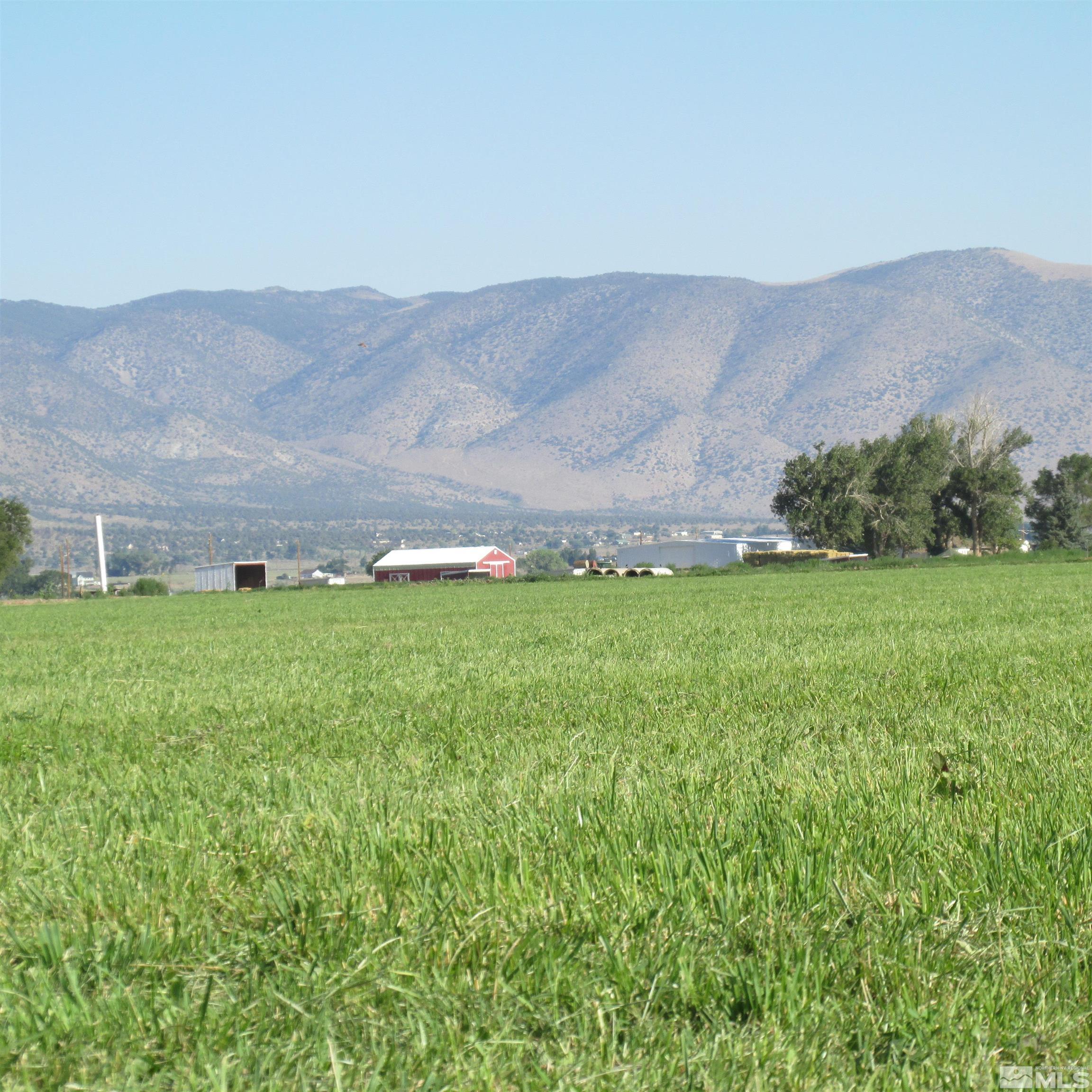 a backyard of a house with lots of green space and mountain view