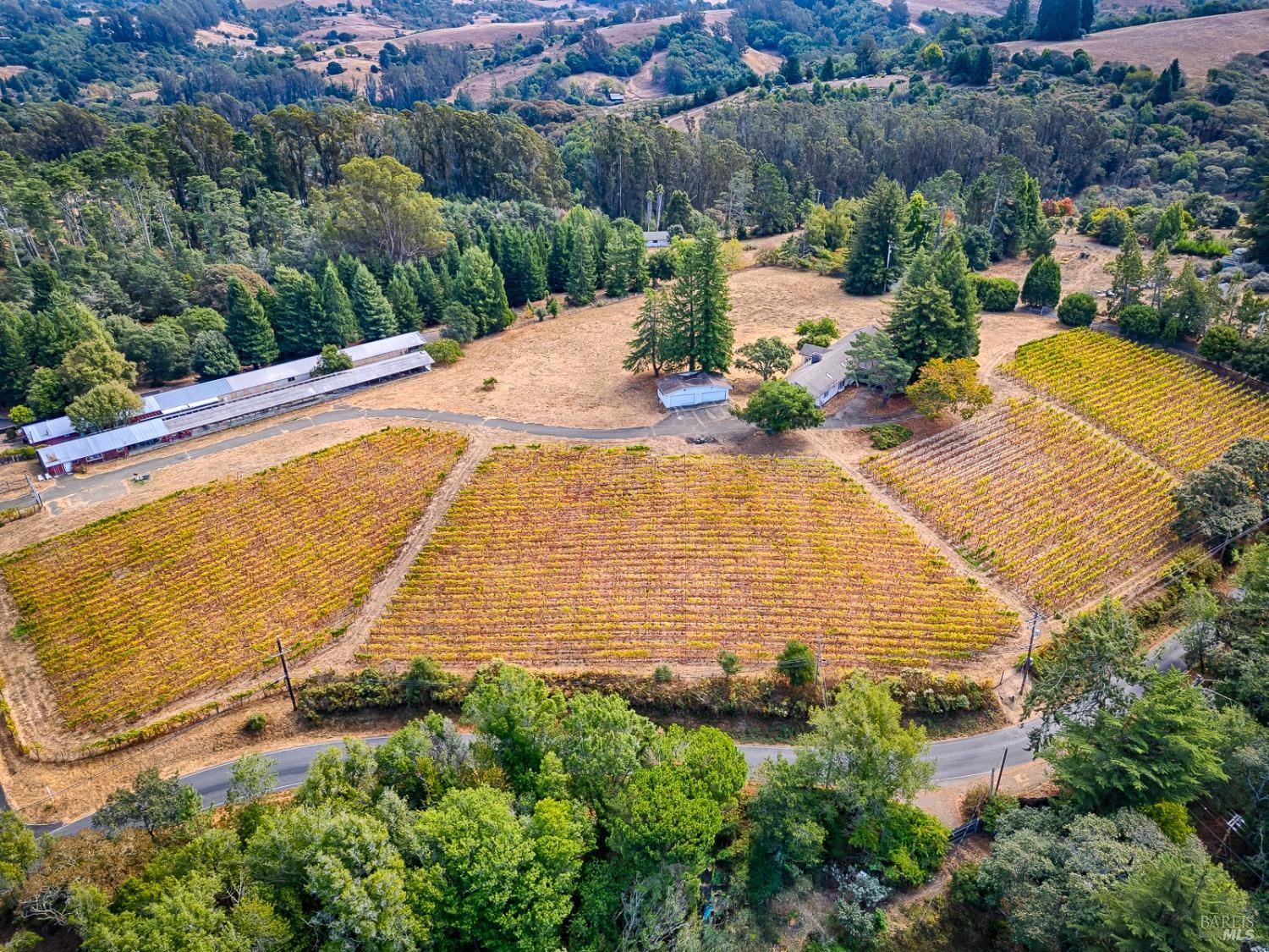 an aerial view of a house with a yard and lake view