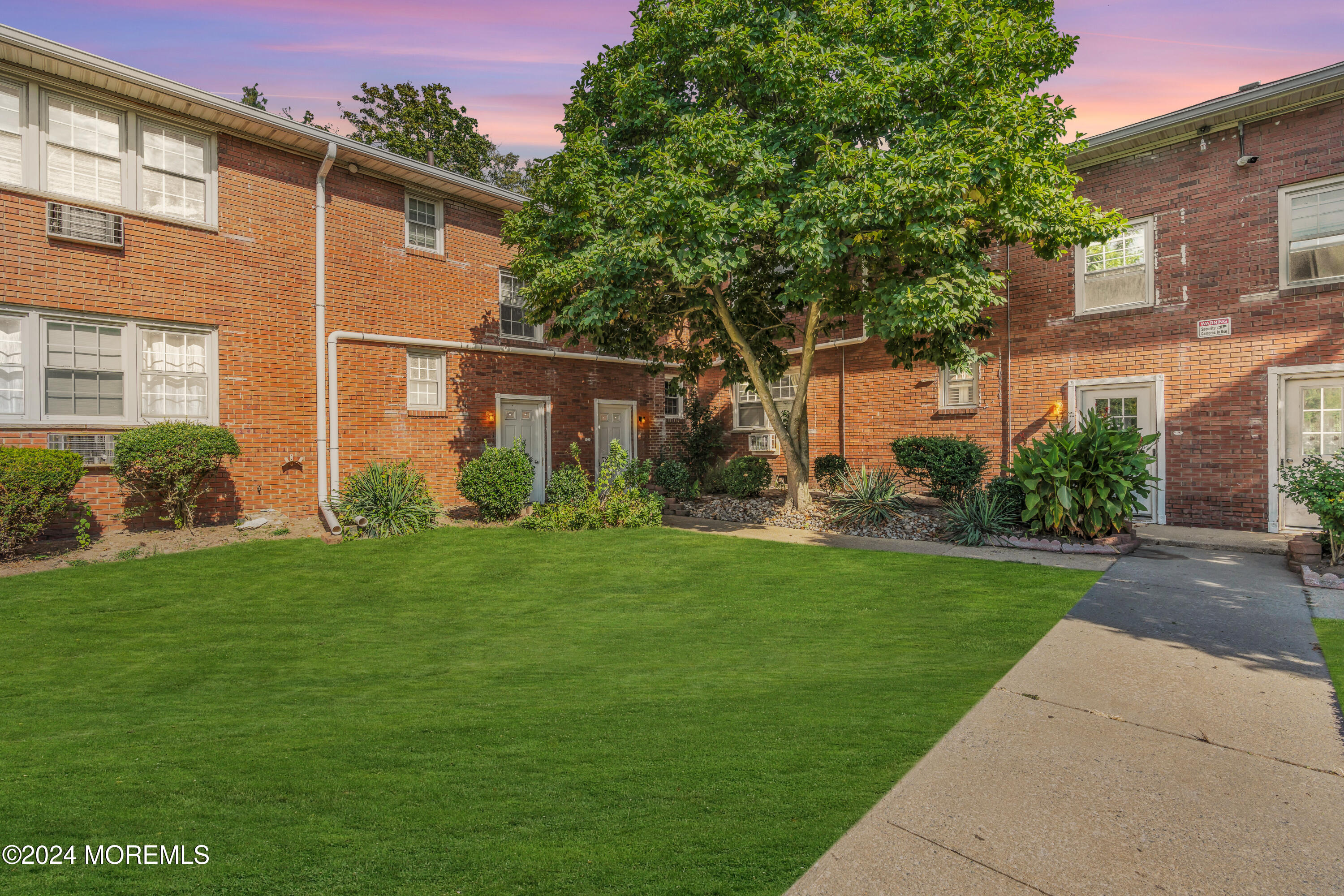 a view of a backyard with plants and large tree