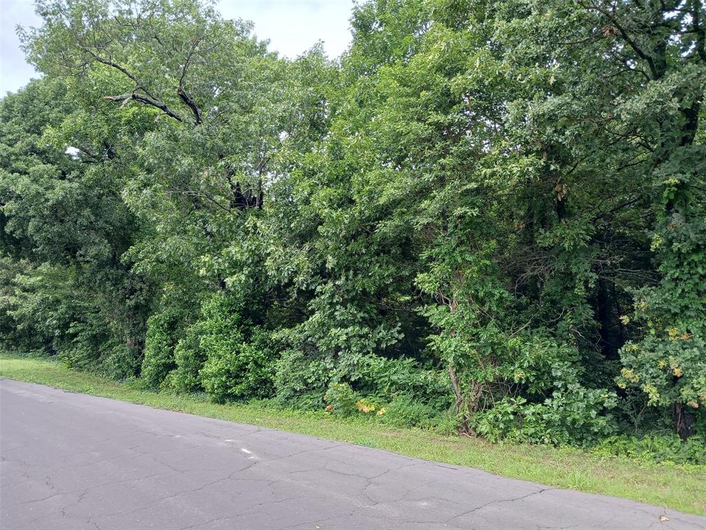 a view of a yard with a tree