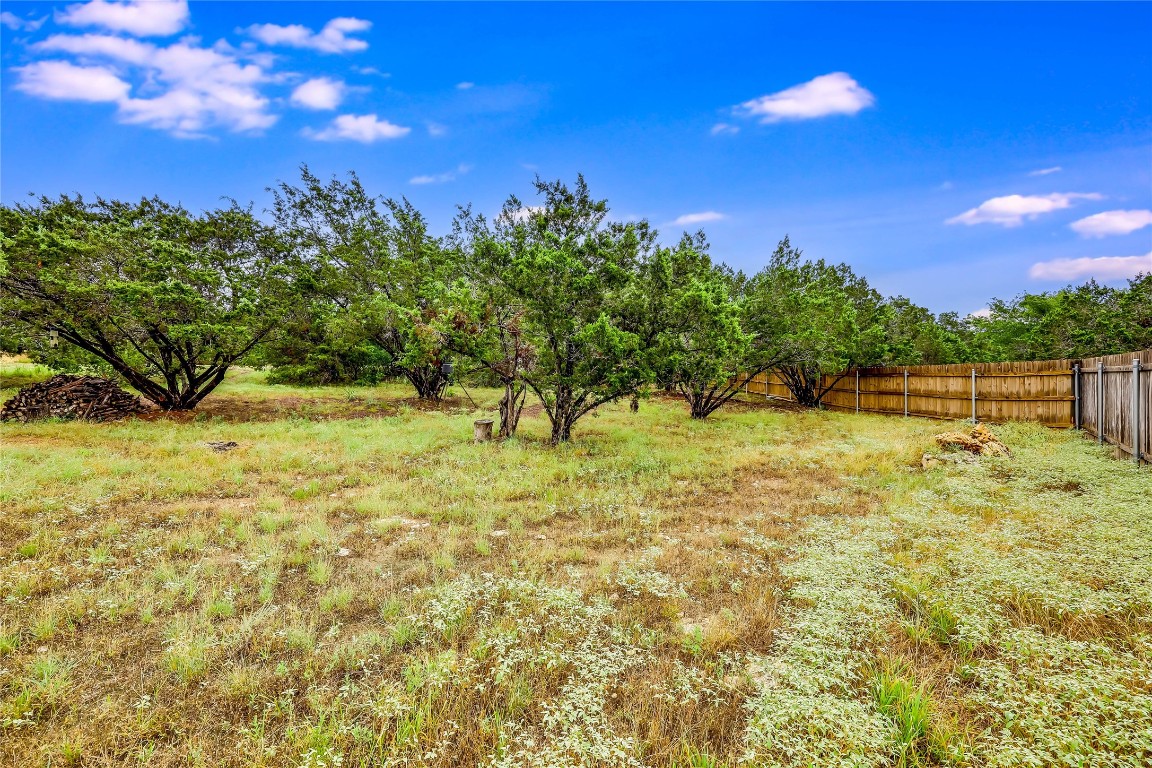 a view of a yard with a tree