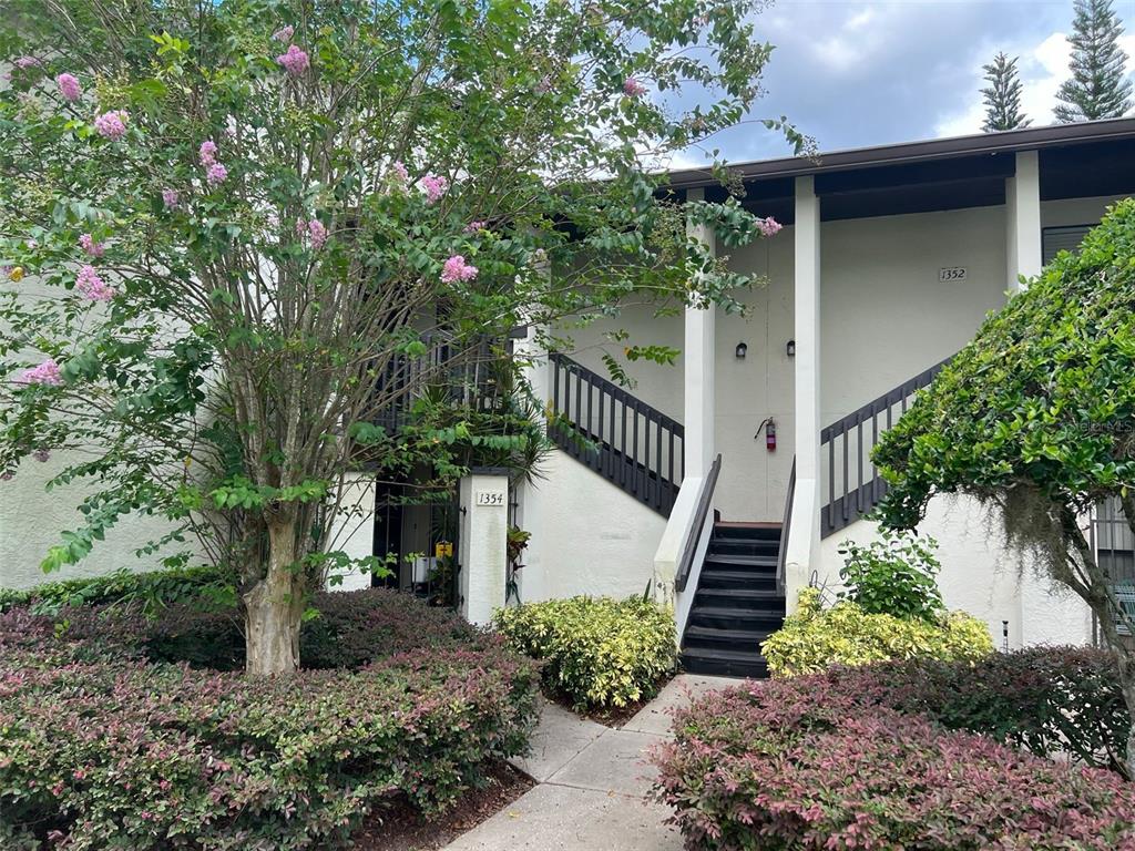 a view of a house with a yard and tree