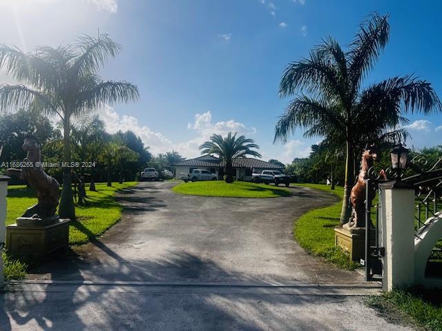 a view of a park with palm trees