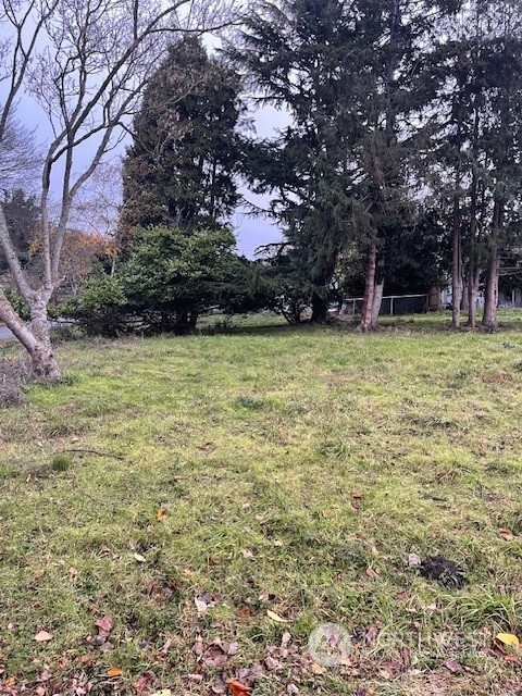 a view of a yard with trees