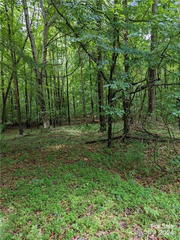 a big yard with lots of green space and deers