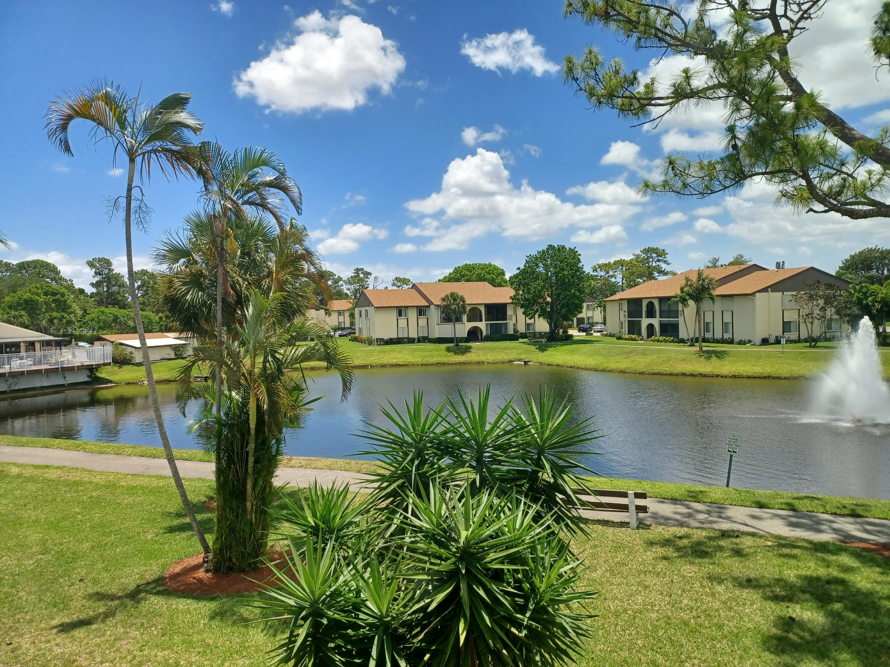 a view of a lake with a building in the background