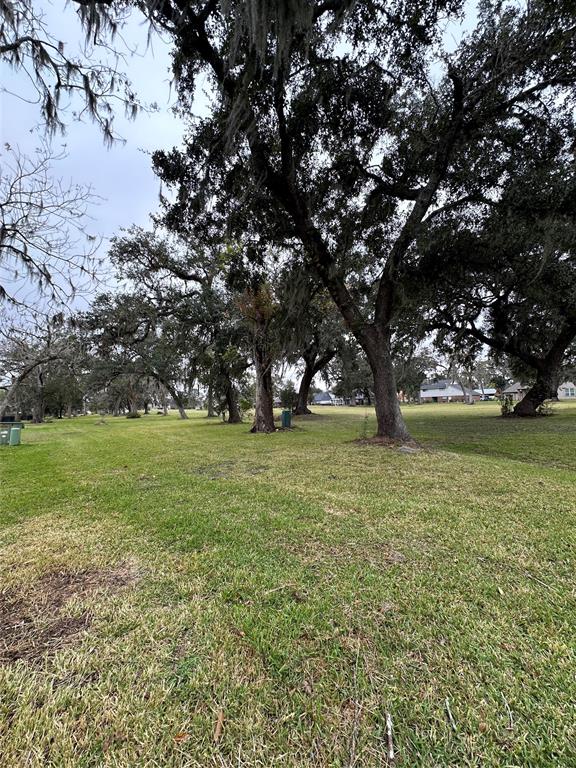 a view of outdoor space with green field and trees