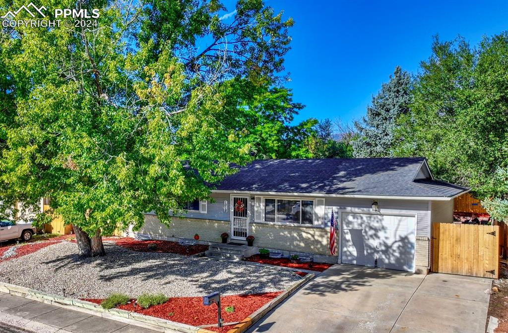 front view of a house with a tree