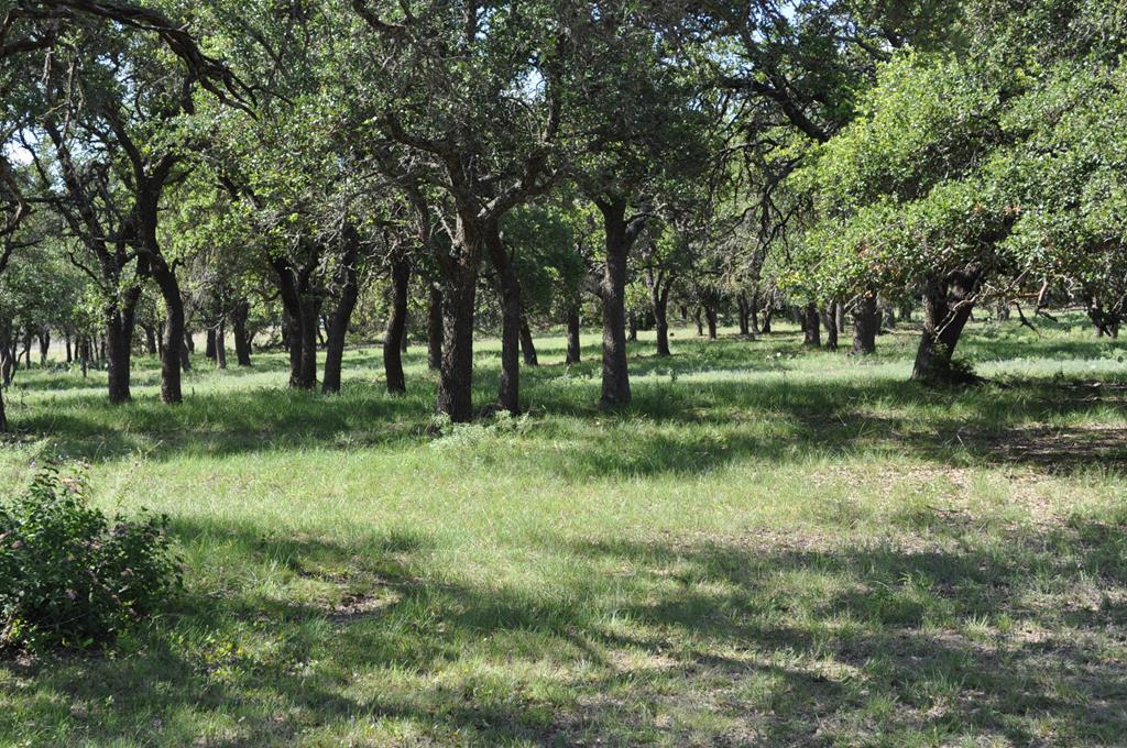 a view of outdoor space with green field and trees