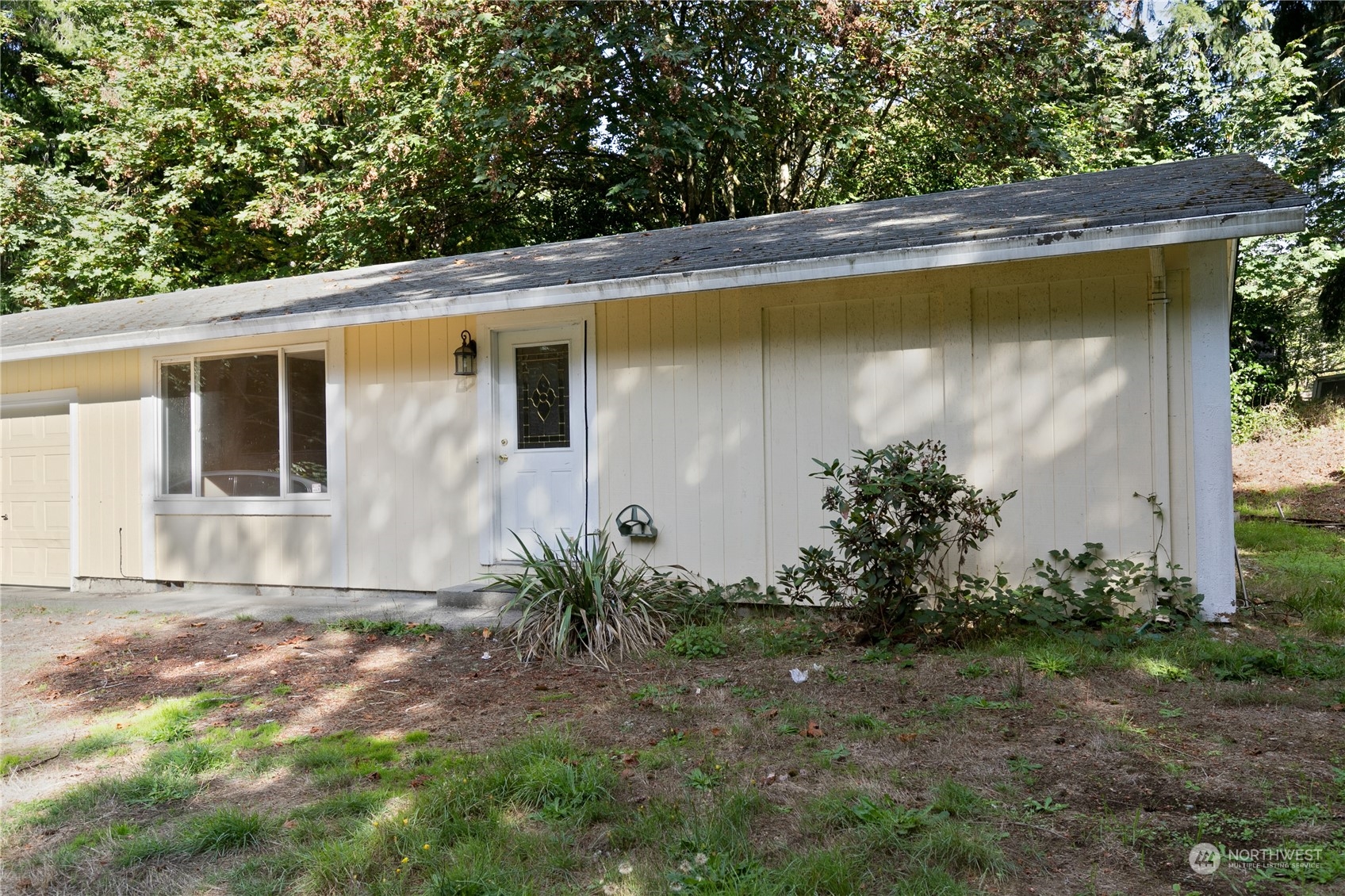 a view of backyard with plants