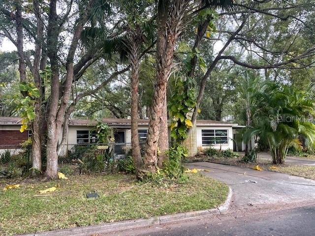 a house that has a tree in front of the house