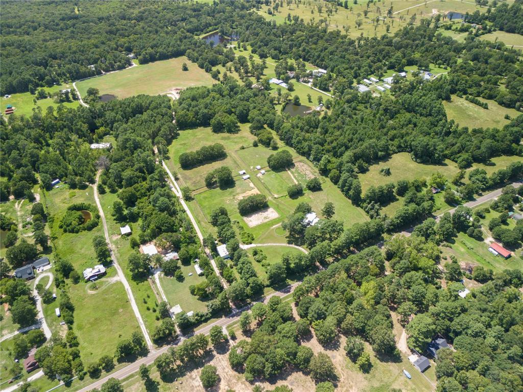 a view of a garden