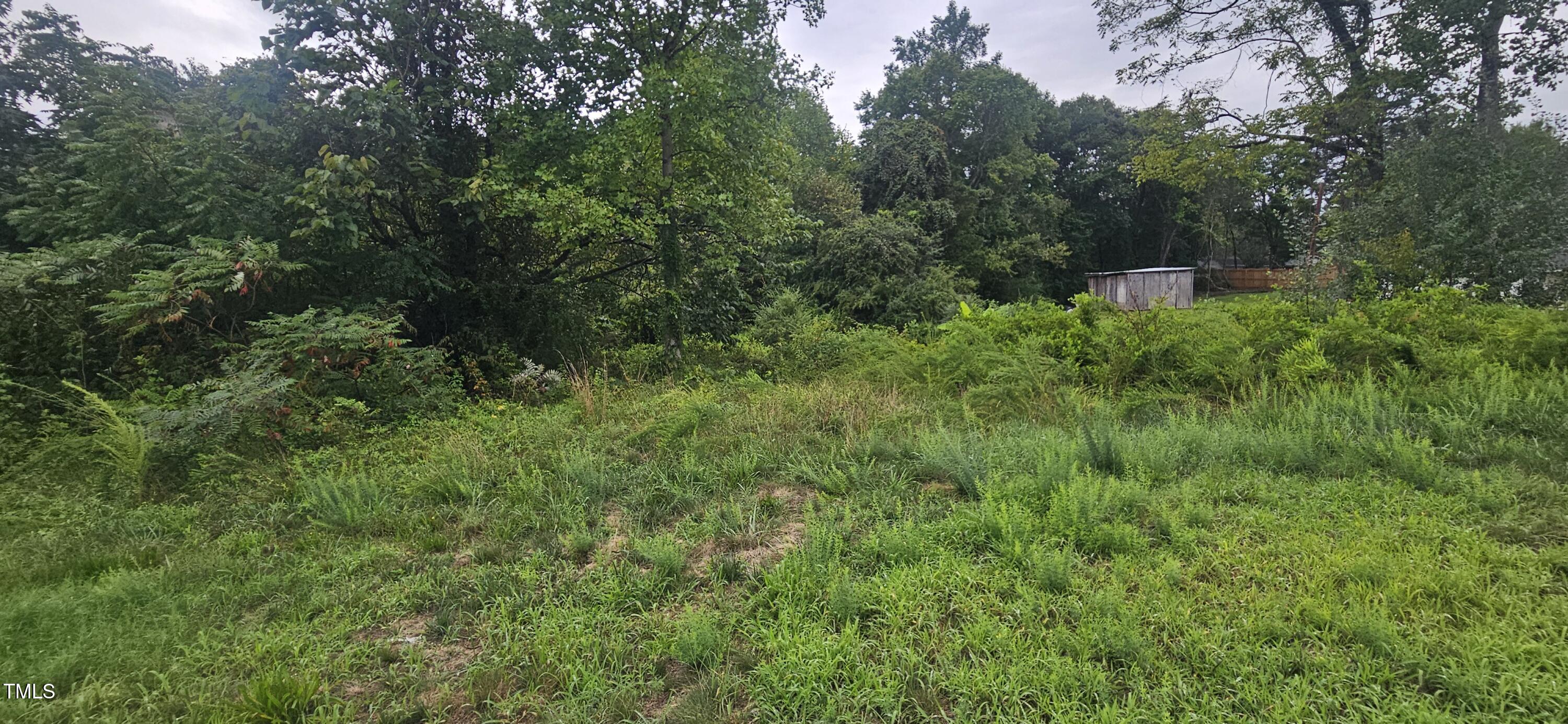 a view of a lush green forest with lots of trees