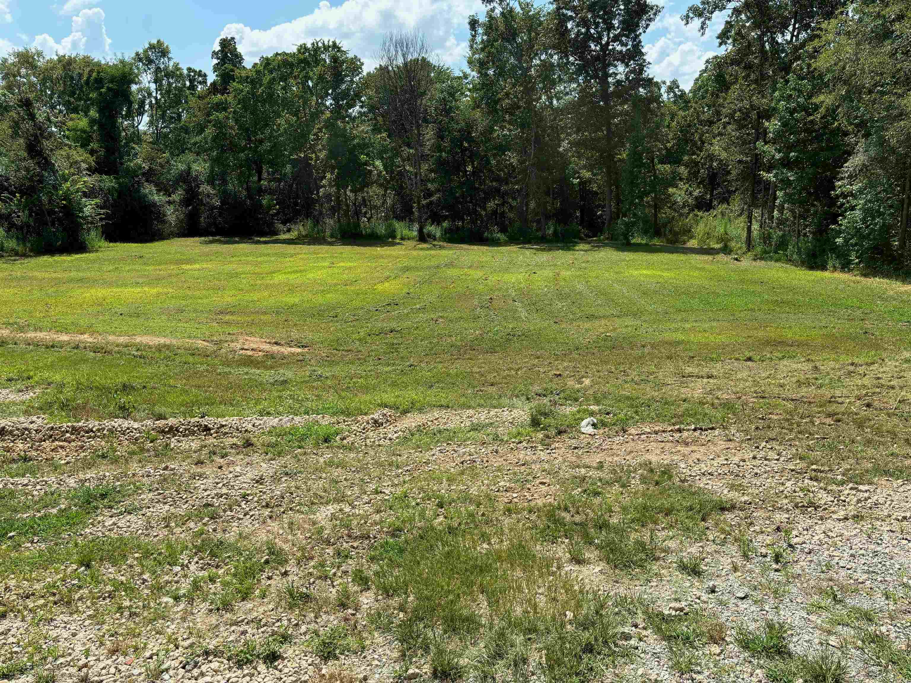 a view of a field with an trees