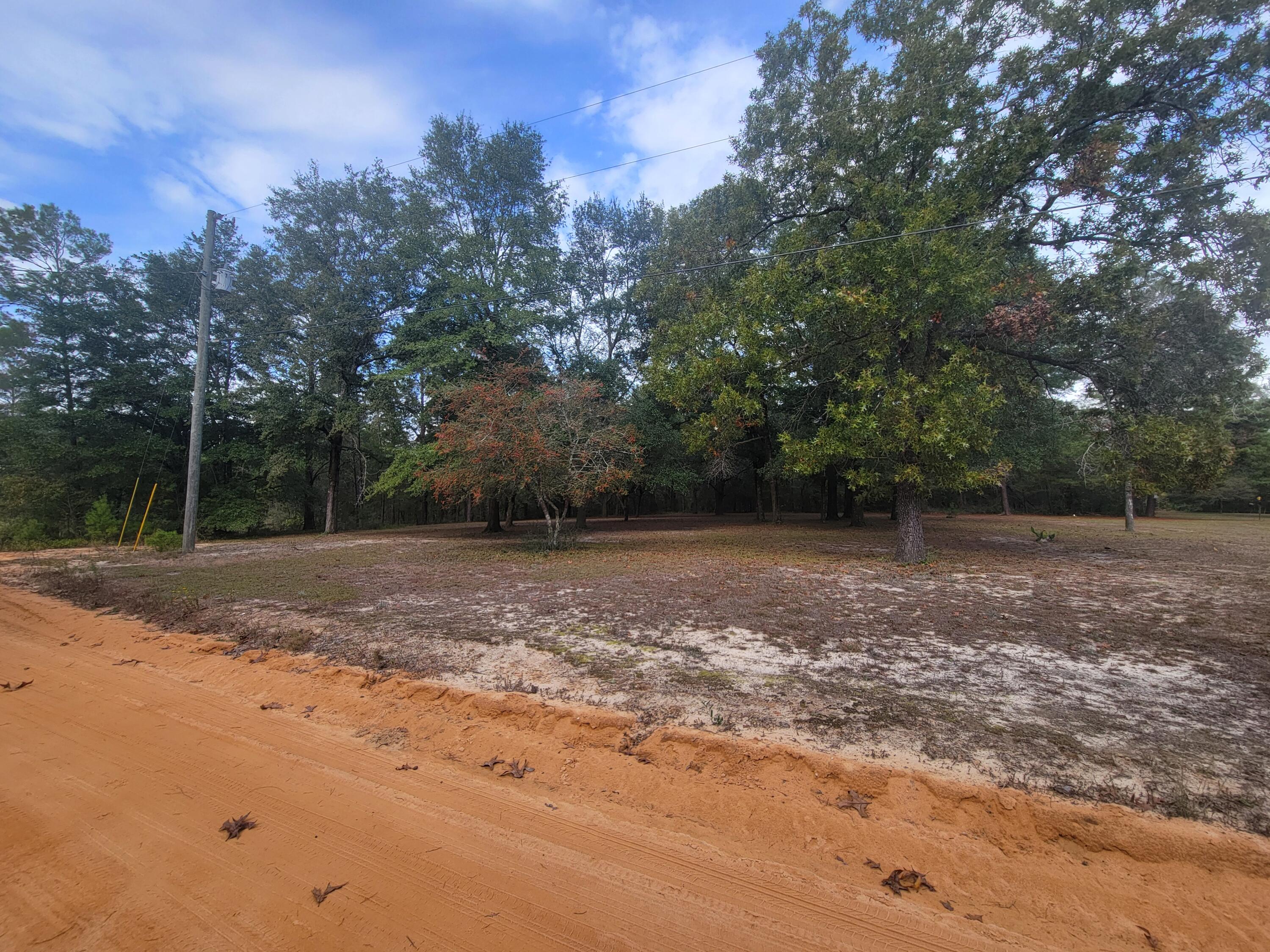 a view of backyard with green space