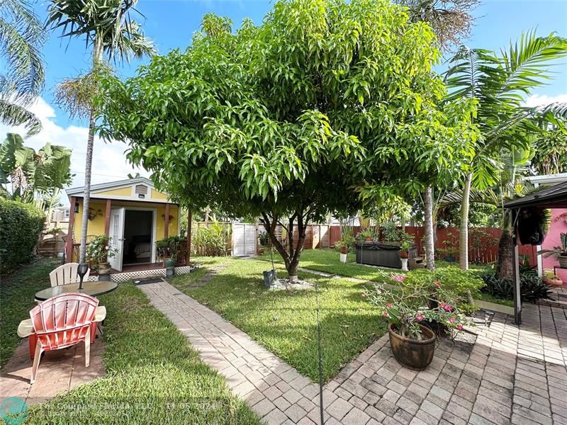 a garden with trees in front of it