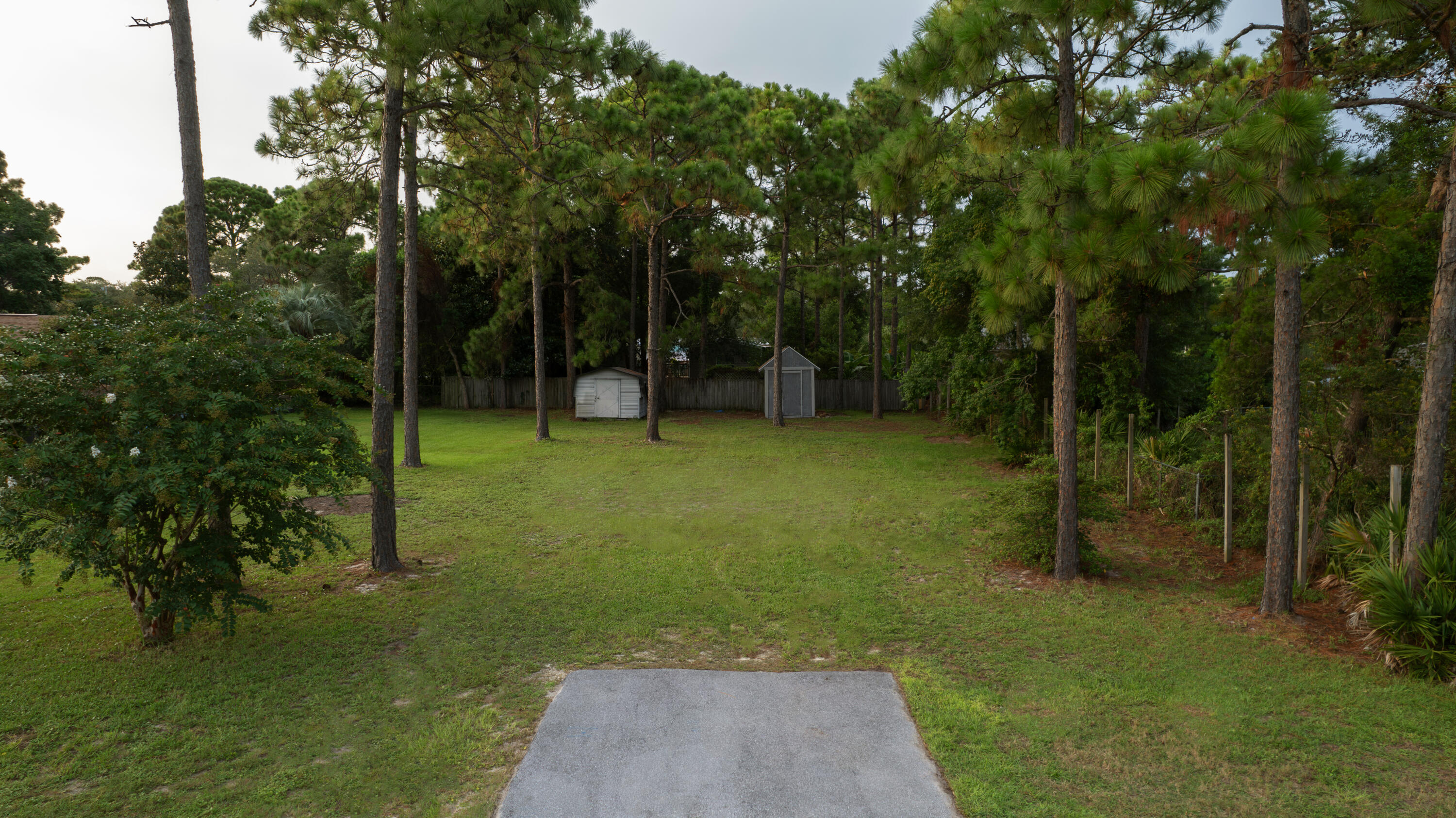 a view of a park with large trees