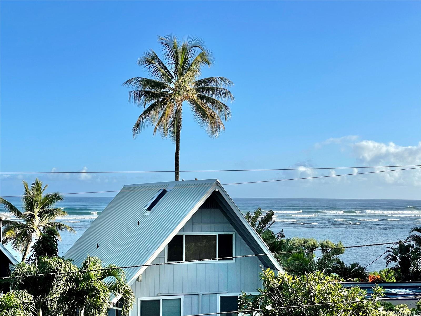 a house with palm tree in front of it