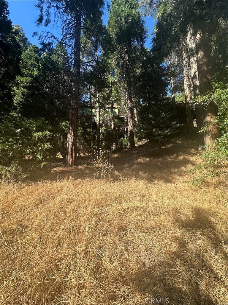 a view of yard and trees