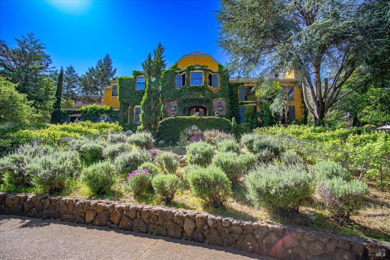 a backyard of a house with a yard and potted plants