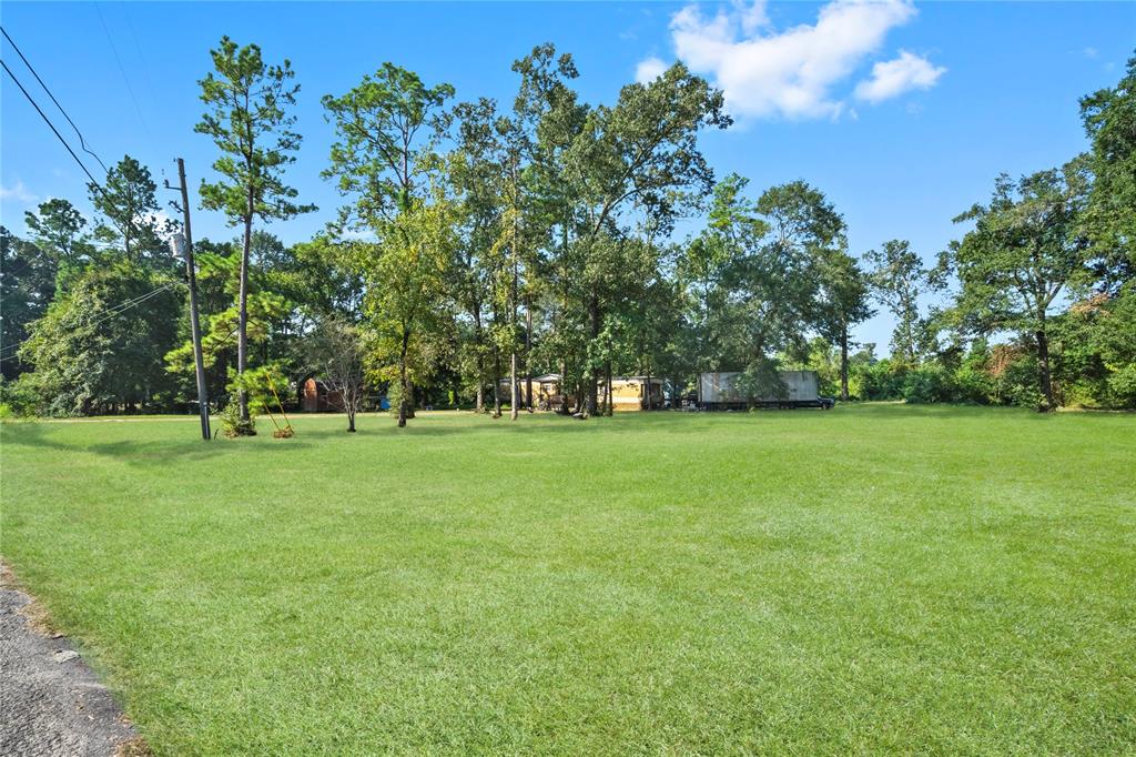 a green field with lots of trees