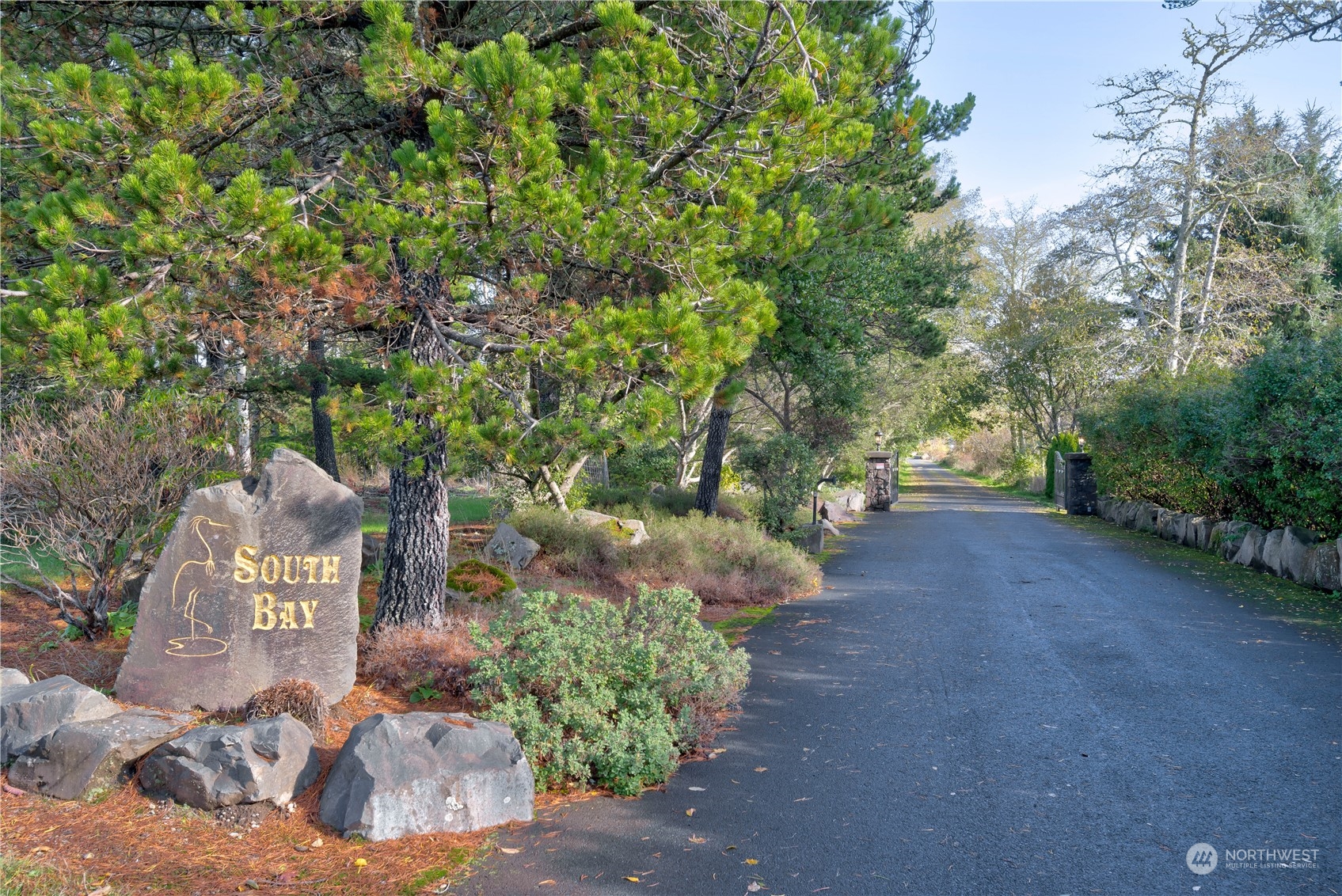 a view of a garden with pathway