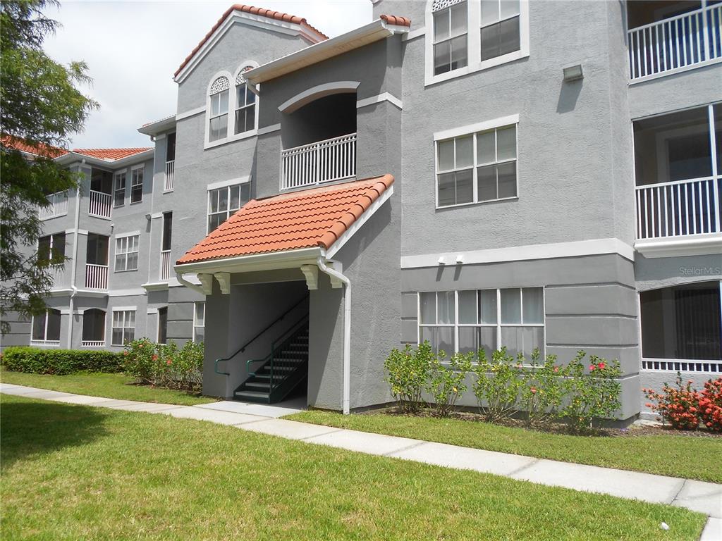 a view of a house with a yard and plants