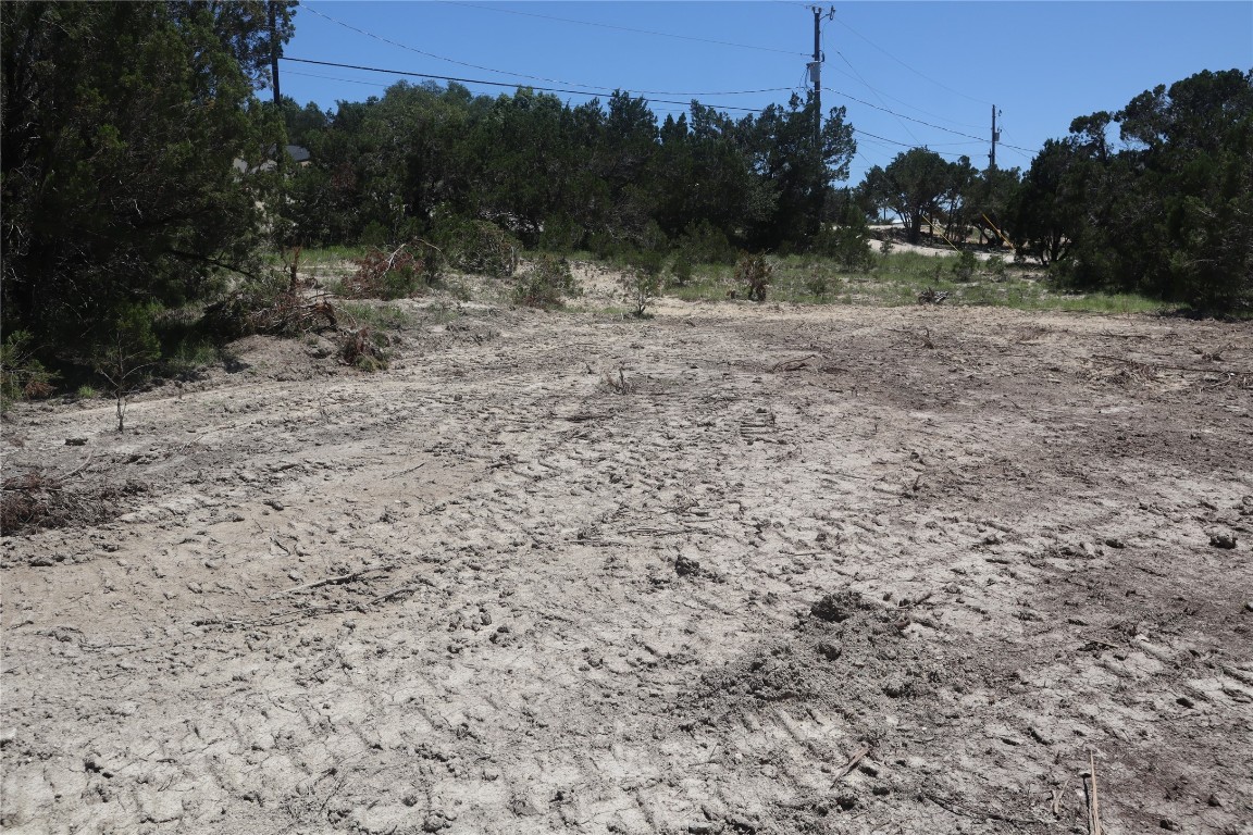 a view of a dry yard with trees in the background