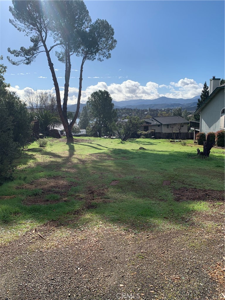 a view of a big yard with large trees