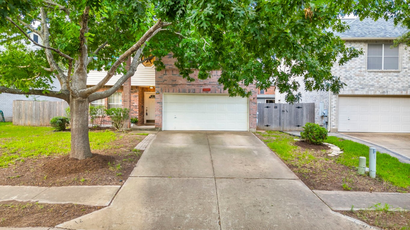 a view of a backyard with plants and a large tree