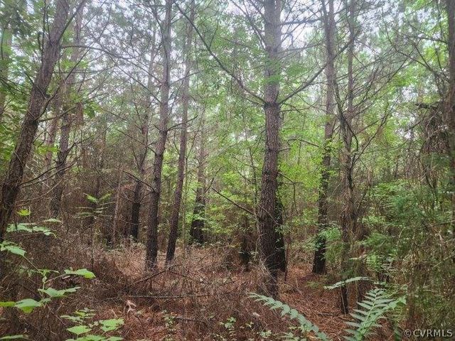 $239,000 | 0 Terrell Road