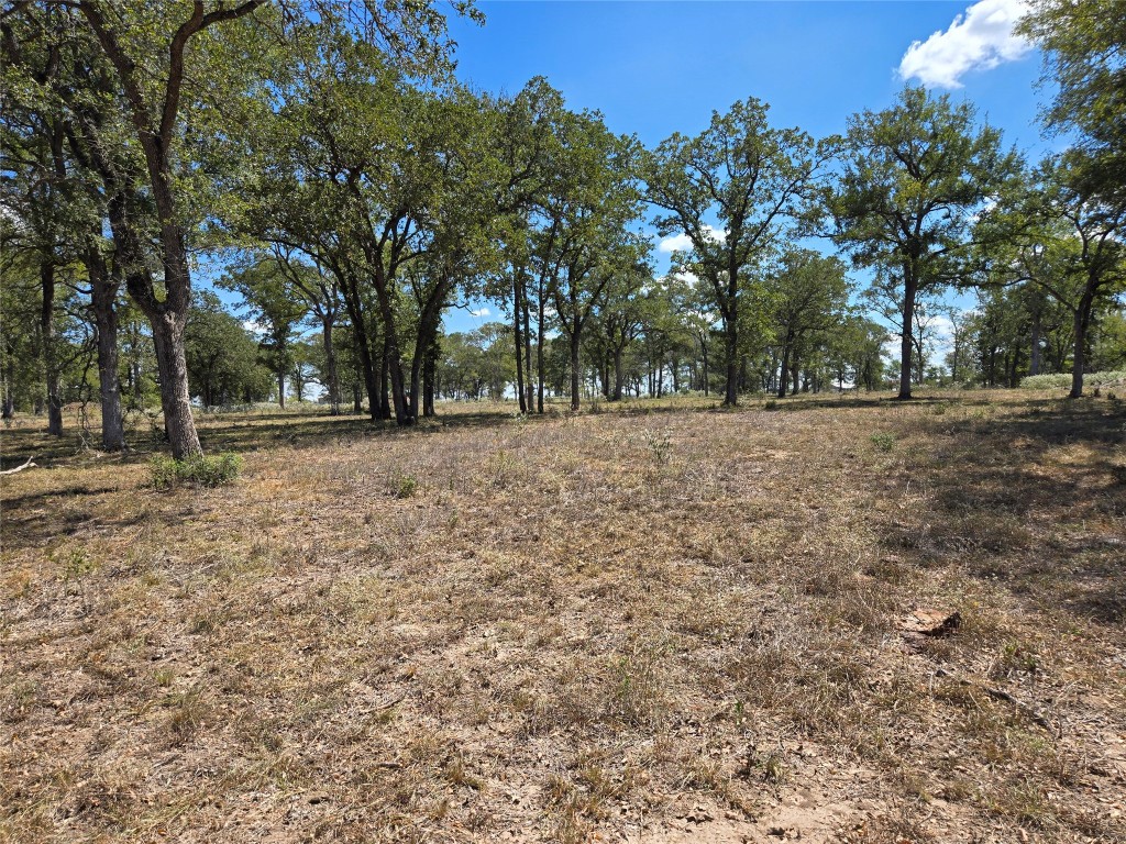 a view of empty field with trees