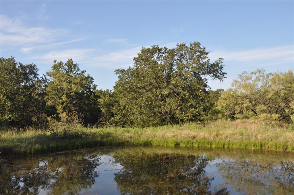 a view of a lake with a yard