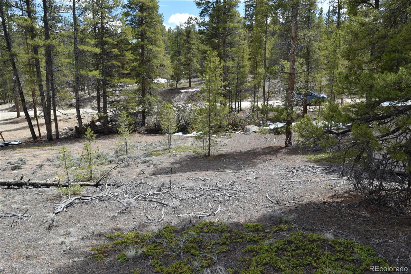 a view of a forest with trees