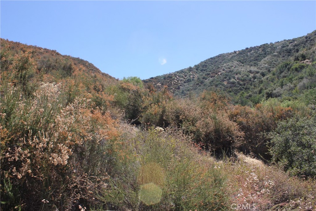 a view of a dry yard with mountains in the background