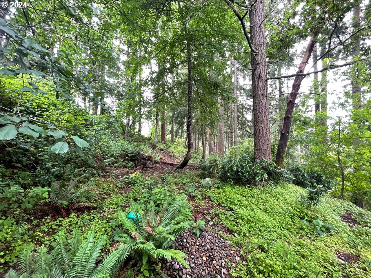 a view of outdoor space and yard