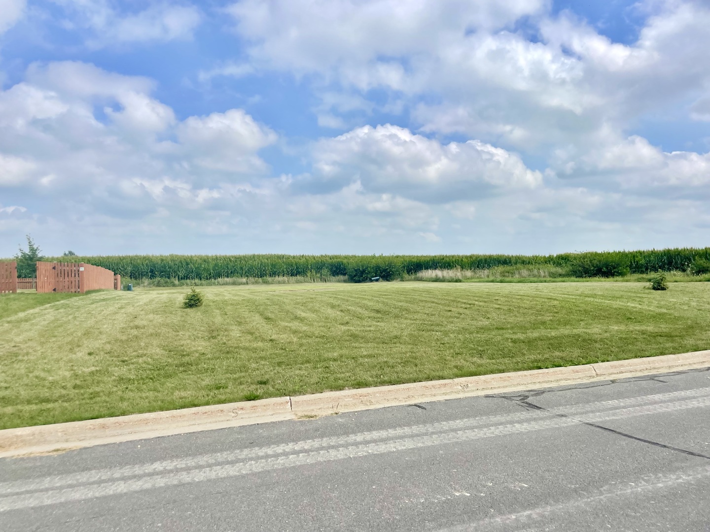 a view of a lake from a yard