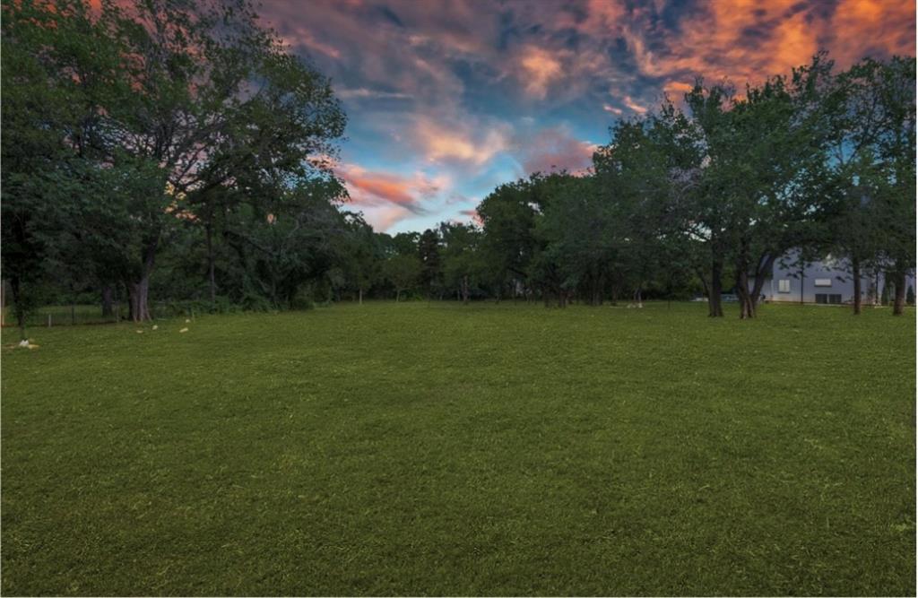 a view of a green field with trees