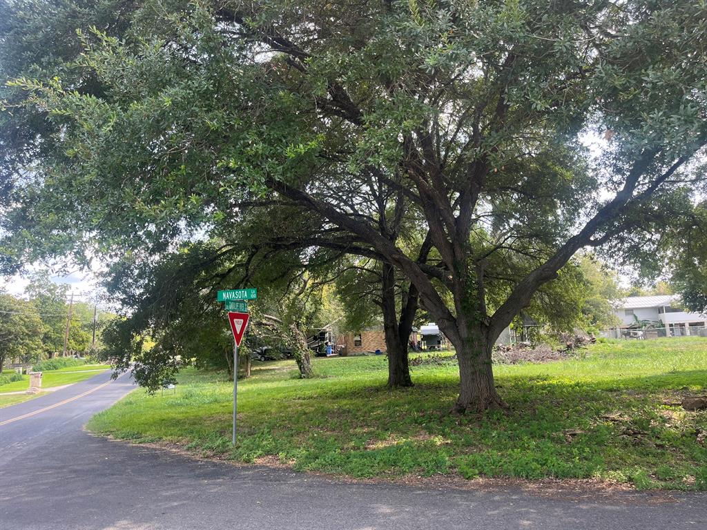 a view of a park with large trees