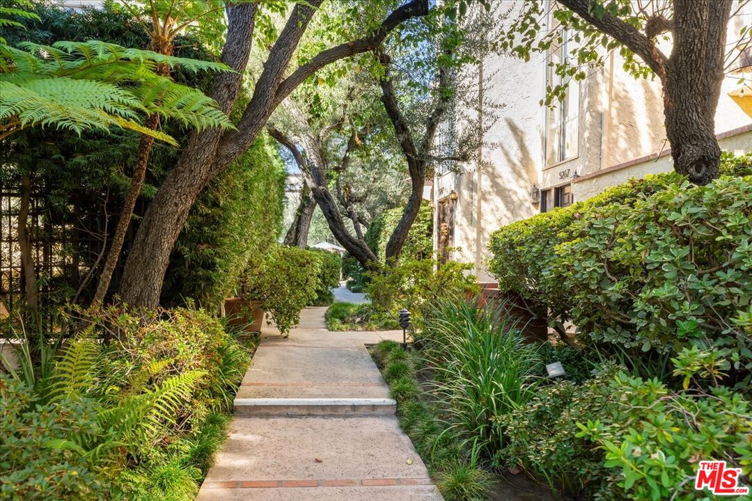 a view of a pathway both side of yard