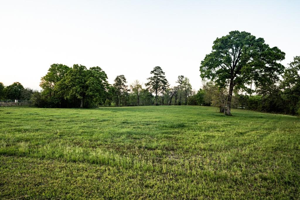 a view of a garden with a trees