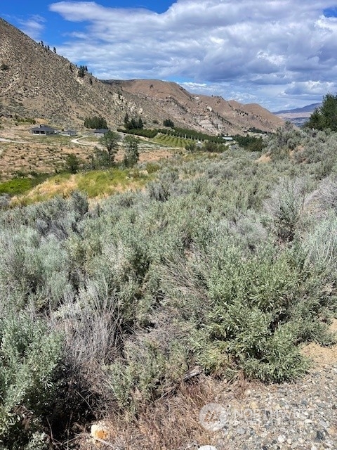 a view of a forest with mountains in the background