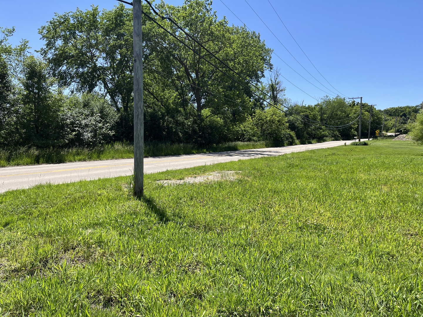 a view of a field with trees in the background