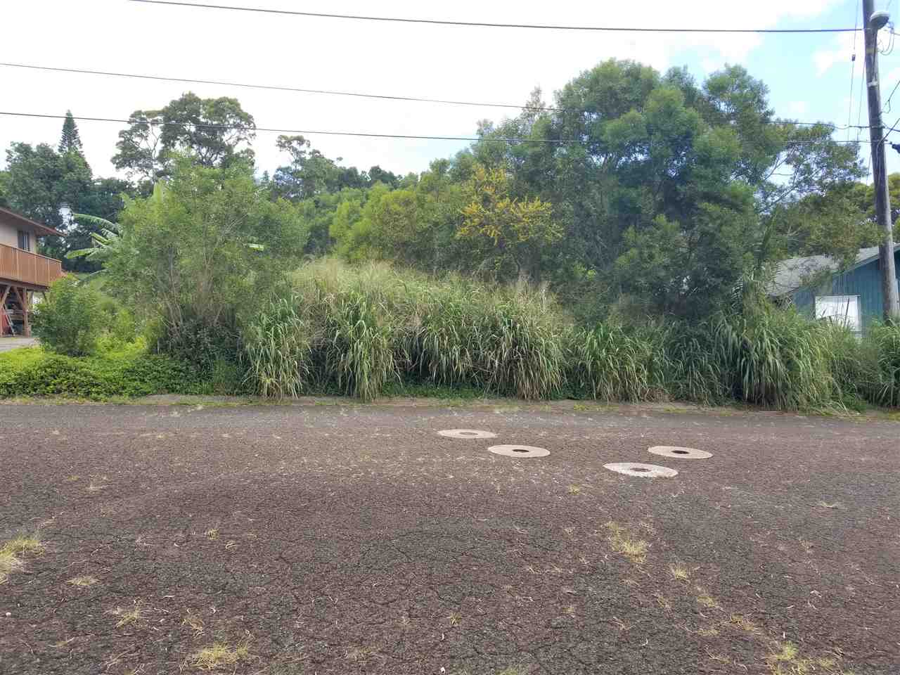 a view of a yard with a tree