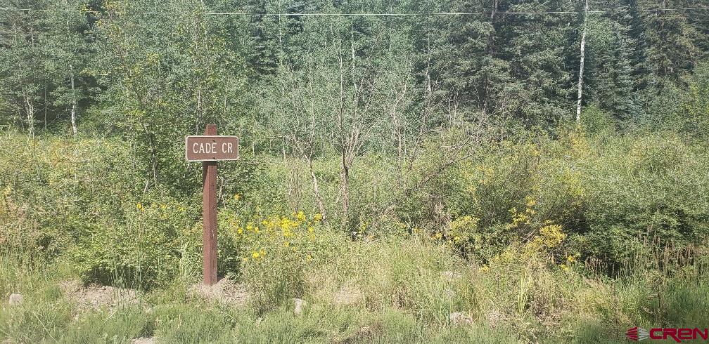 a view of a wooden fence